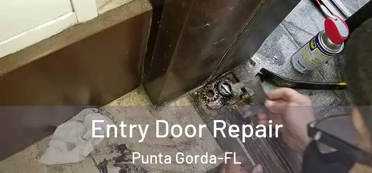  Entry Door Repair Punta Gorda-FL